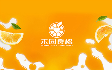 某良橙——滨州LOGO设计